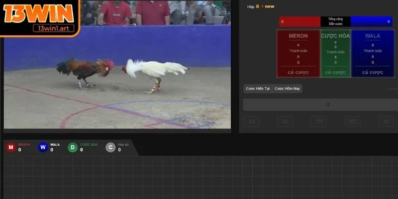 Hình thức chơi và quy tắc