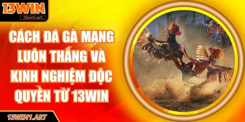 Cách đá gà mạng luôn thắng