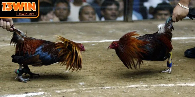 Tiếp xúc môi trường thật