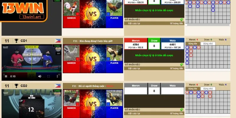 Tham gia Đá Gà 13WIN dễ dàng chỉ với 5 bước