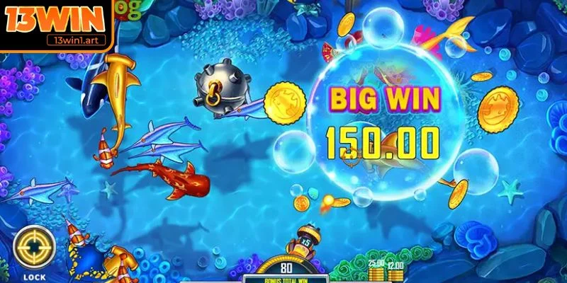 Khai thác thời điểm cá xuất hiện theo đàn