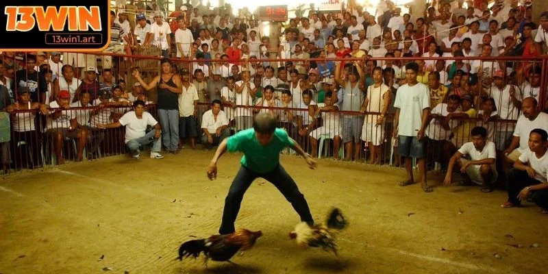 Đá gà 12 con giáp là gì?