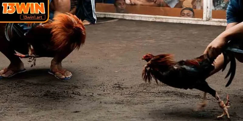 Áp dụng chiến thuật hợp lý