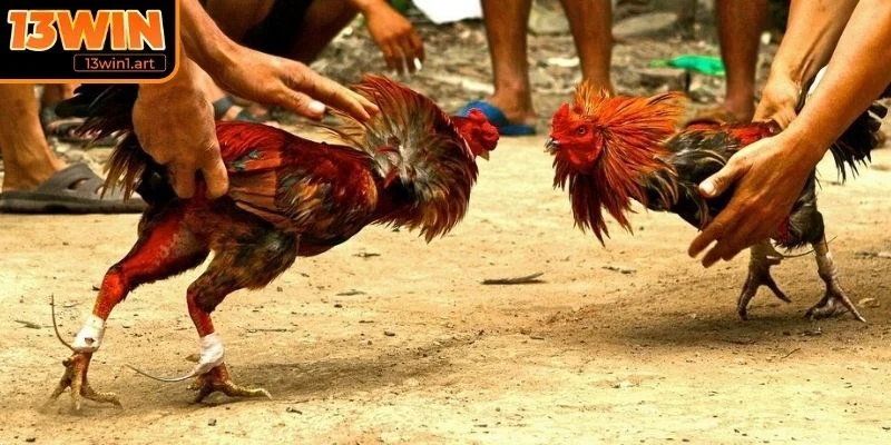 Cách tính điểm trận đấu