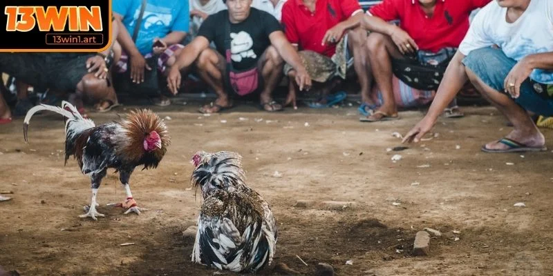 Chiến thuật chọn và huấn luyện