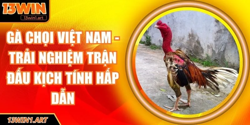Gà chọi Việt Nam