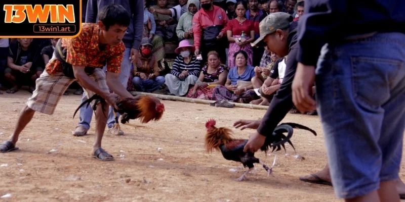 Hệ thống giải chuyên nghiệp