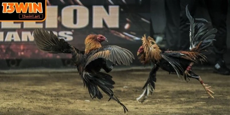 Luật phân định thắng thua